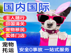 营口机场货运国际宠物托运 【国